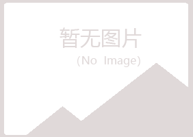 济源盼夏化学有限公司